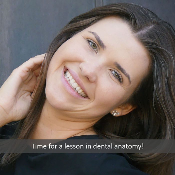 dental anatomy 2022 700 Emerald Isle Smiles: Aubrey Myers, DDS Emerald Isle NC